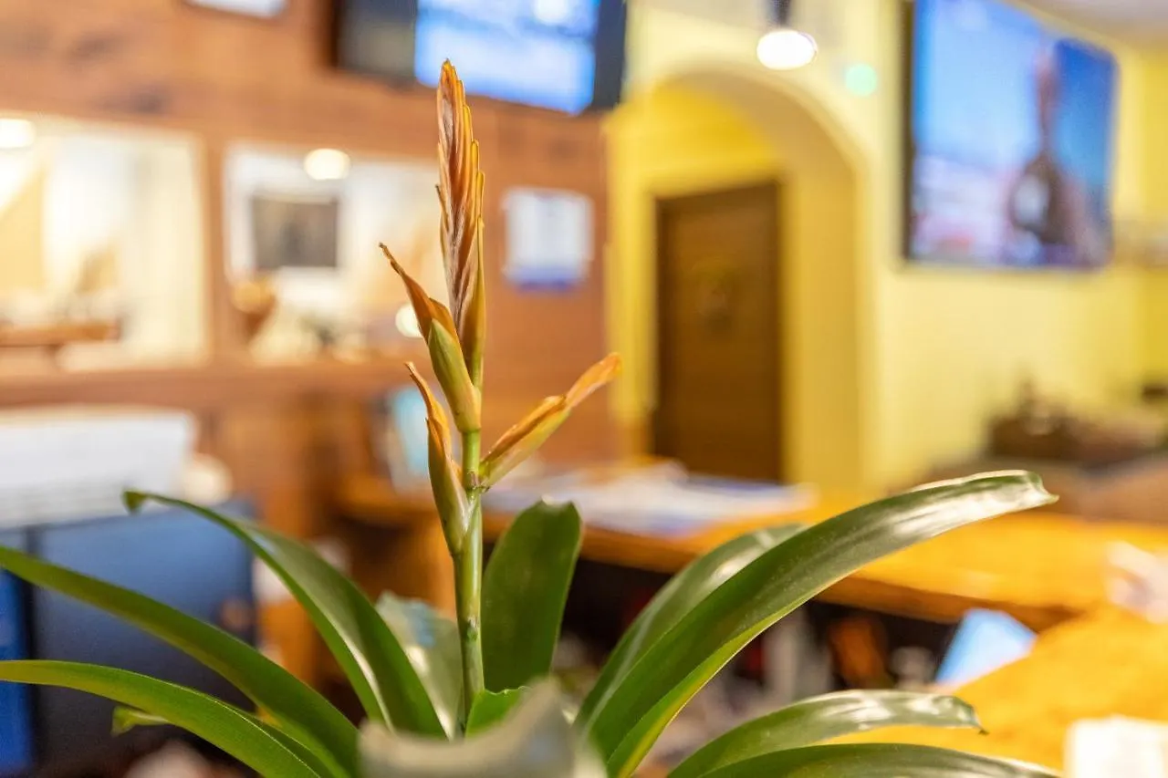 Hostal Doris - Adults Only Colonia de Sant Jordi